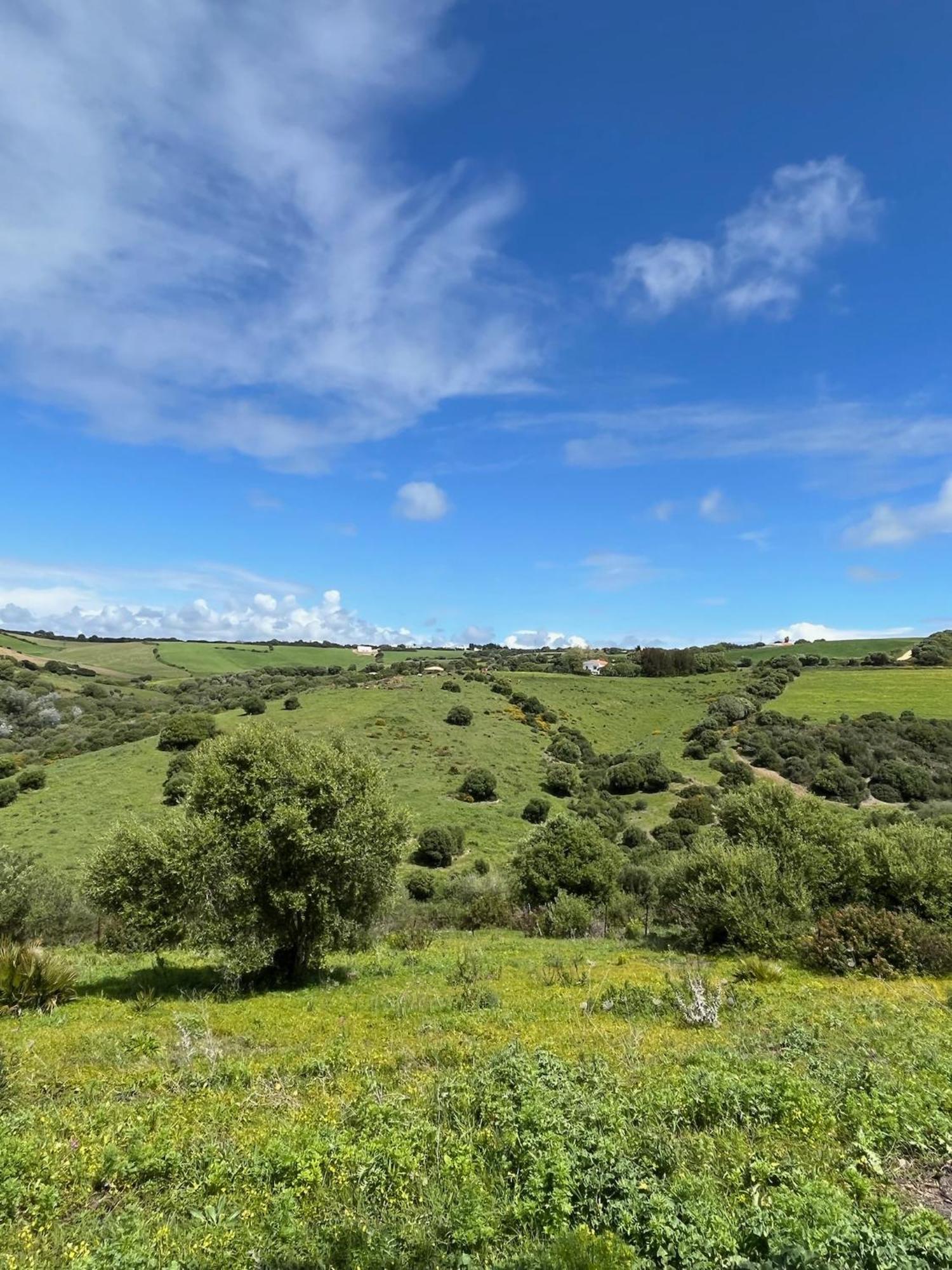Finca La Vina Vejer de la Frontera Eksteriør bilde